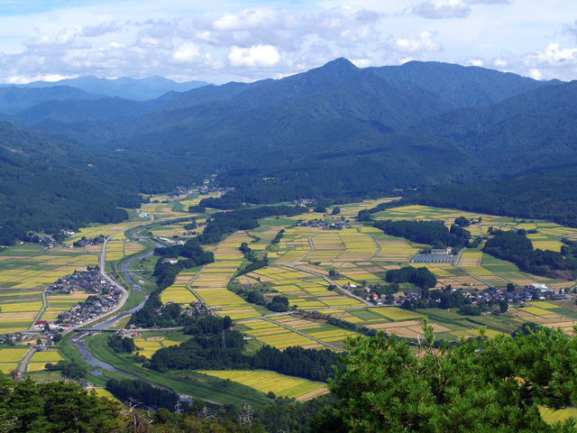 朴坂山からの風景