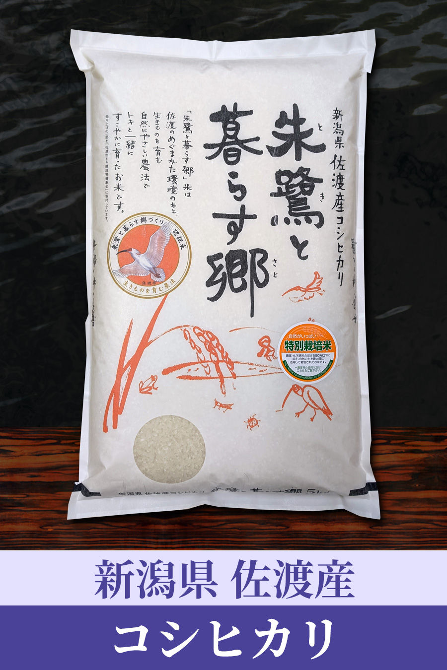 令和6年佐賀県産さがびより　20キロ　　　　モカすけちゃん 令和6年佐賀県産さがびより 20キロ モカすけちゃん様