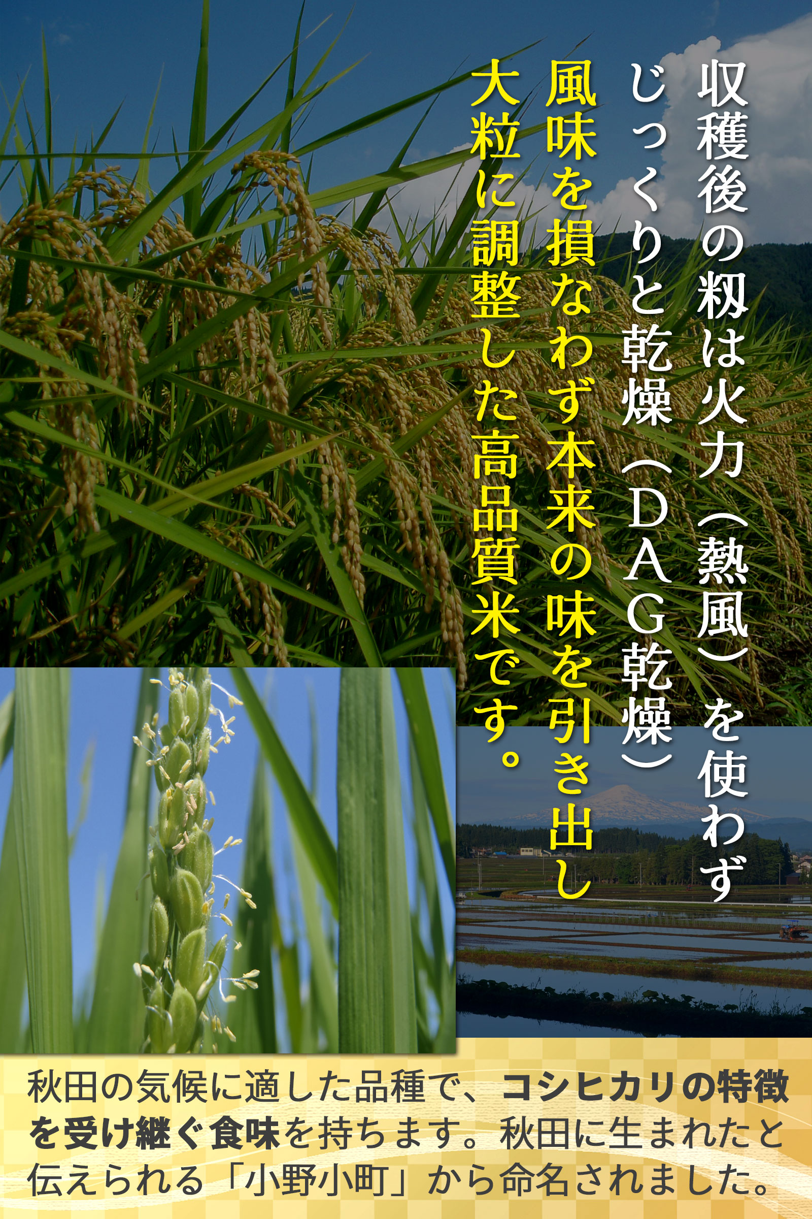 美郷町六郷 清水