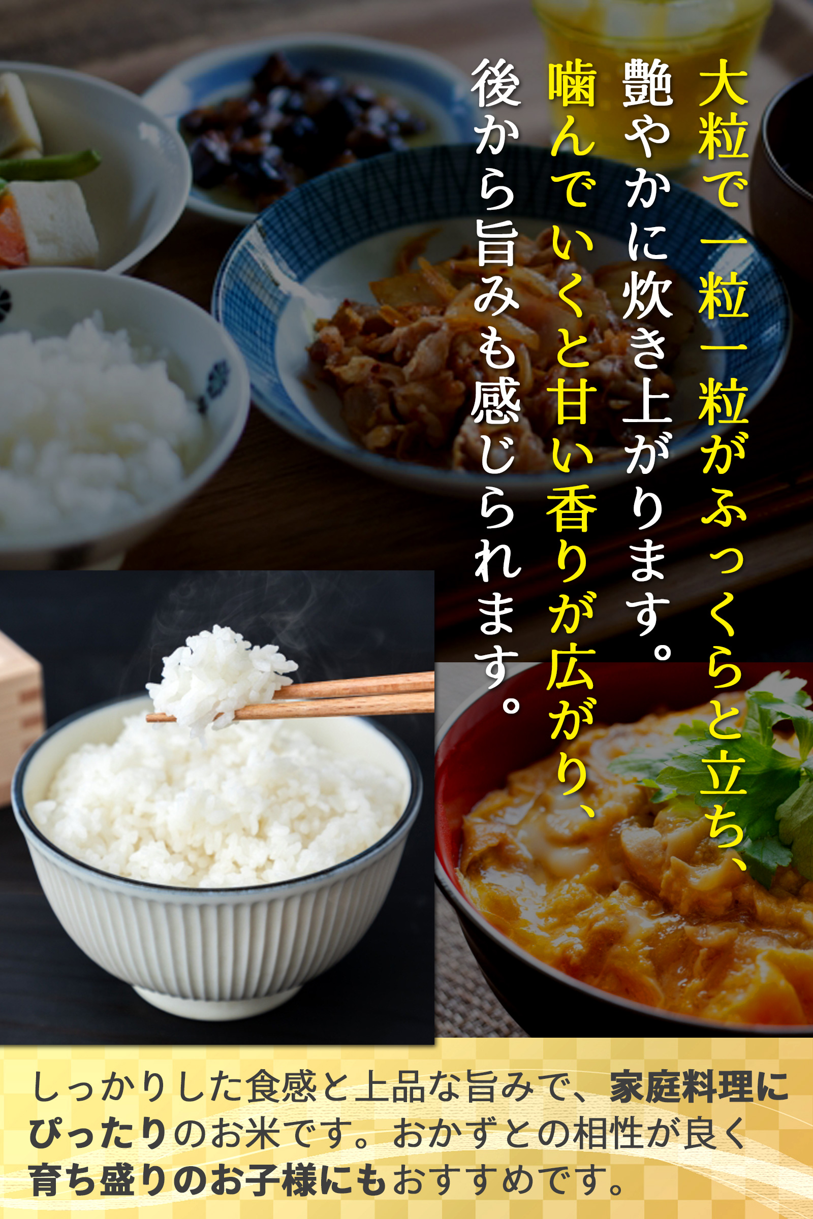 美郷町六郷 田んぼ