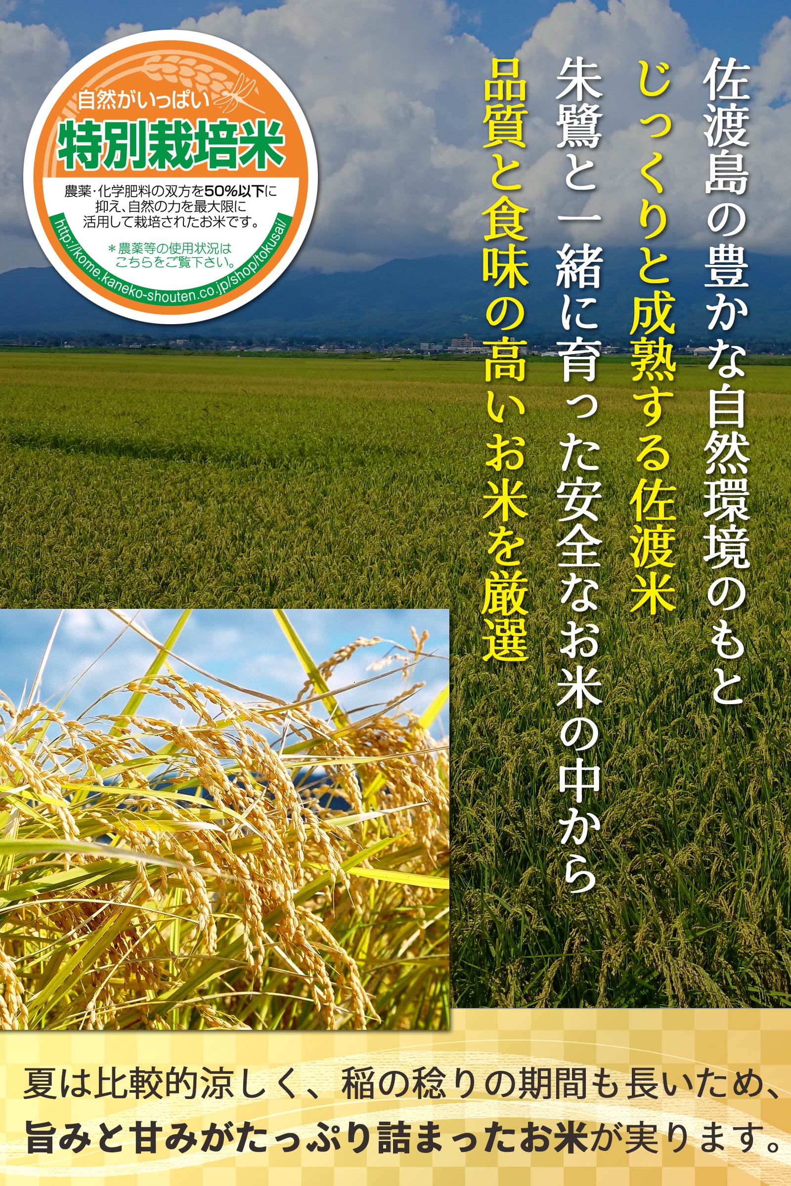 朱鷺と暮らす郷ロゴ