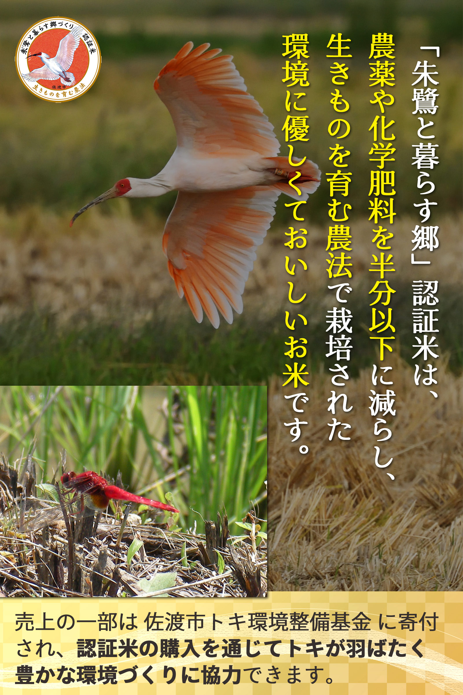 新潟県佐渡産地