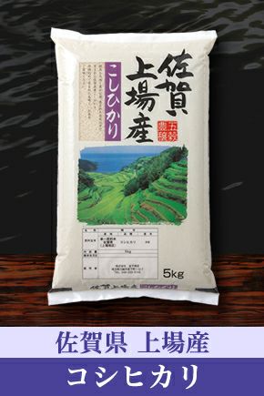 新米 5kg 佐賀上場産コシヒカリ 棚田米 令和4年産 レビュー お米マイスターの店 金子商店