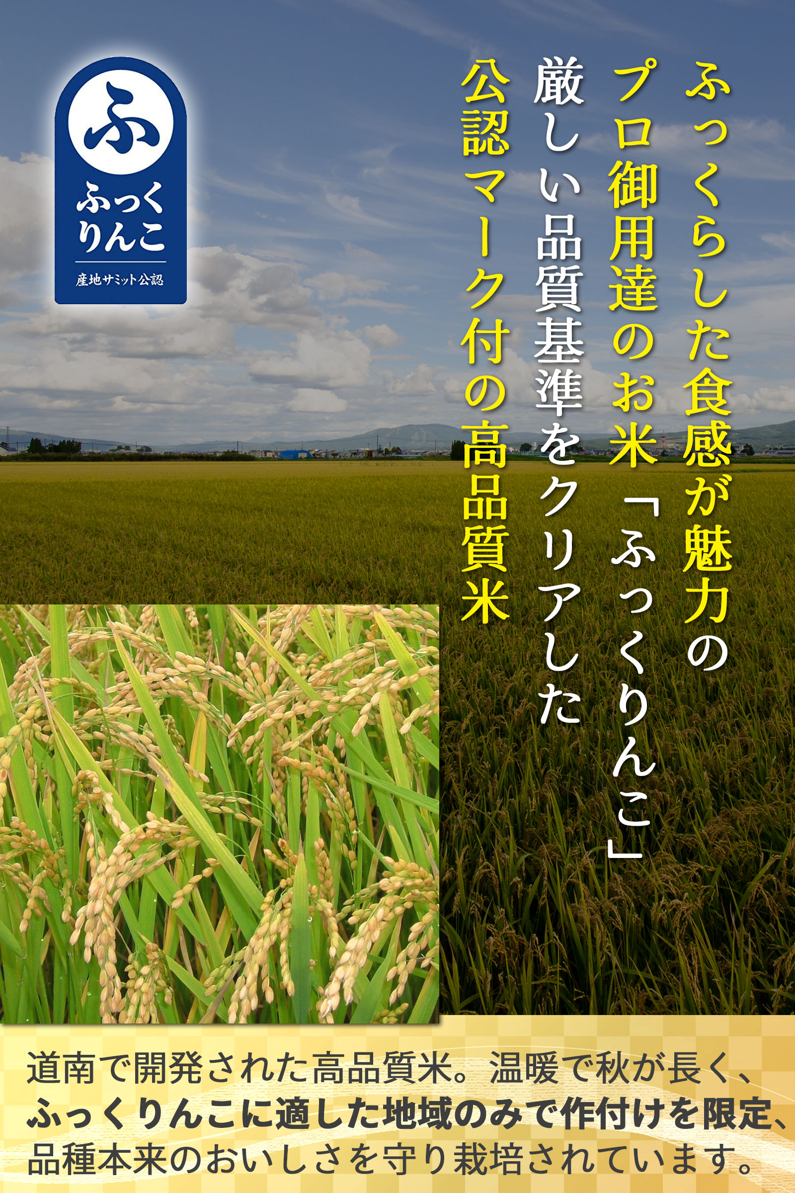 北海道深川 産地