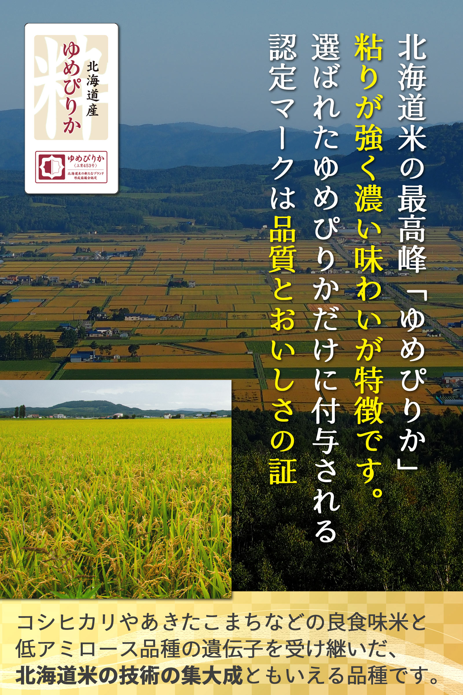 北海道深川 産地