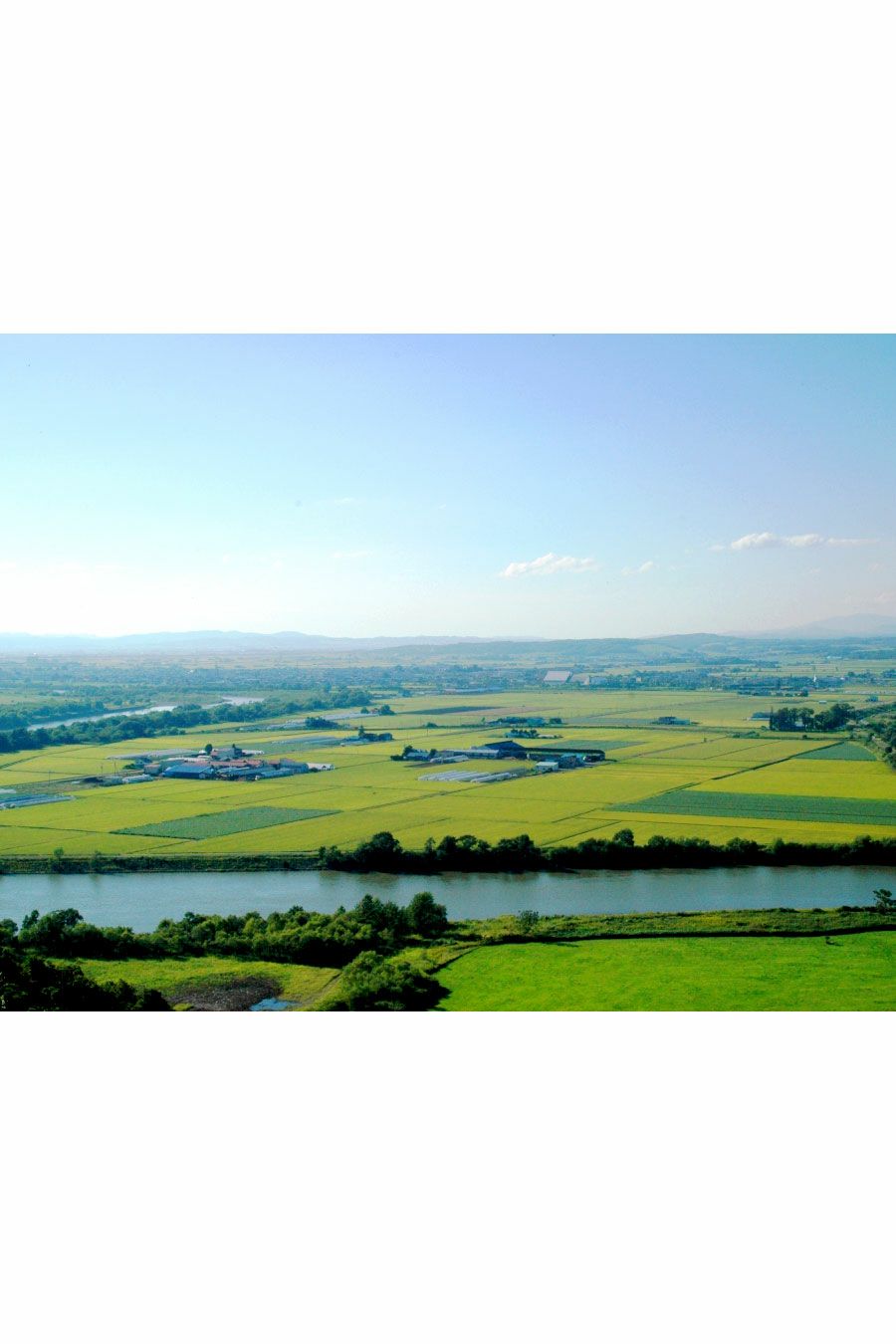 北海道深川 産地