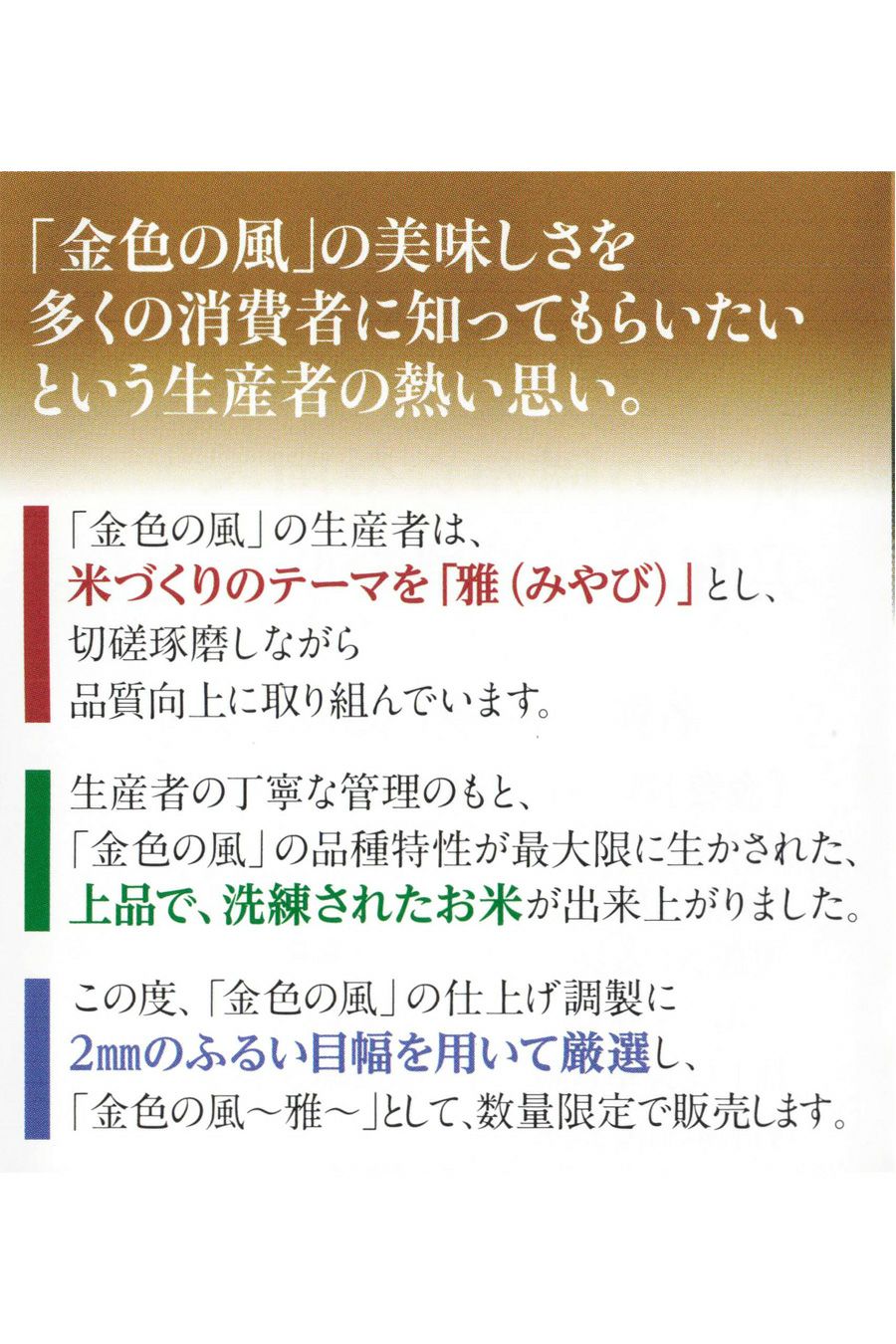 金色の風-雅-リーフレット